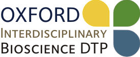 DTP Logo