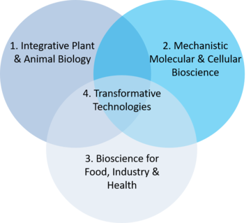 Venn diagram of the four DTP themes 