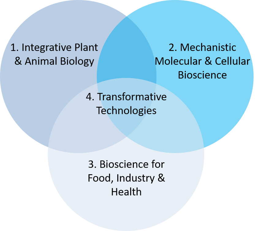 Venn diagram of the four DTP themes 